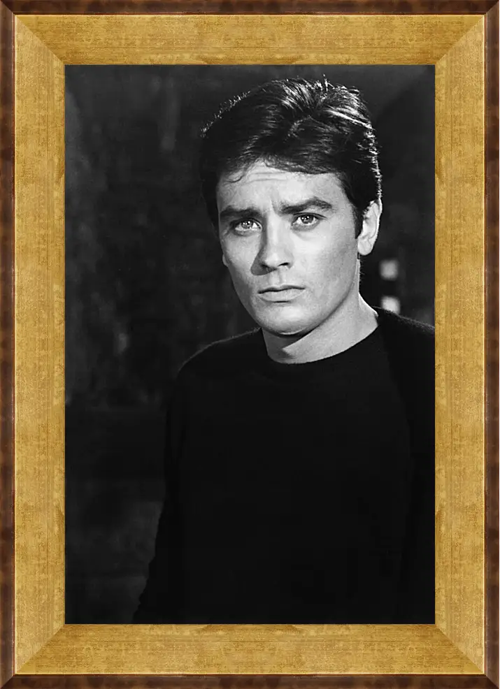 Картина в раме - Ален Делон. Alain Delon