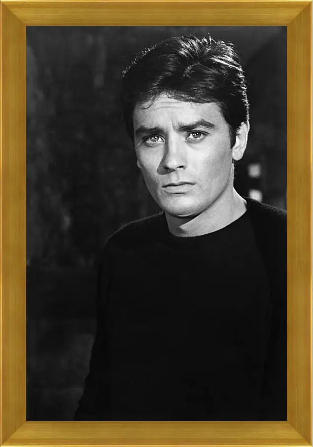 Картина в раме - Ален Делон. Alain Delon