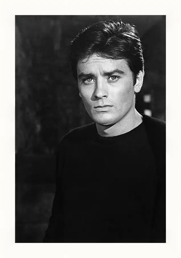 Картина в раме - Ален Делон. Alain Delon