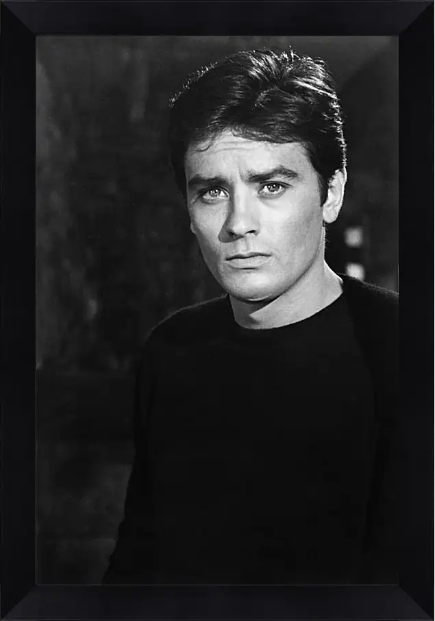 Картина в раме - Ален Делон. Alain Delon