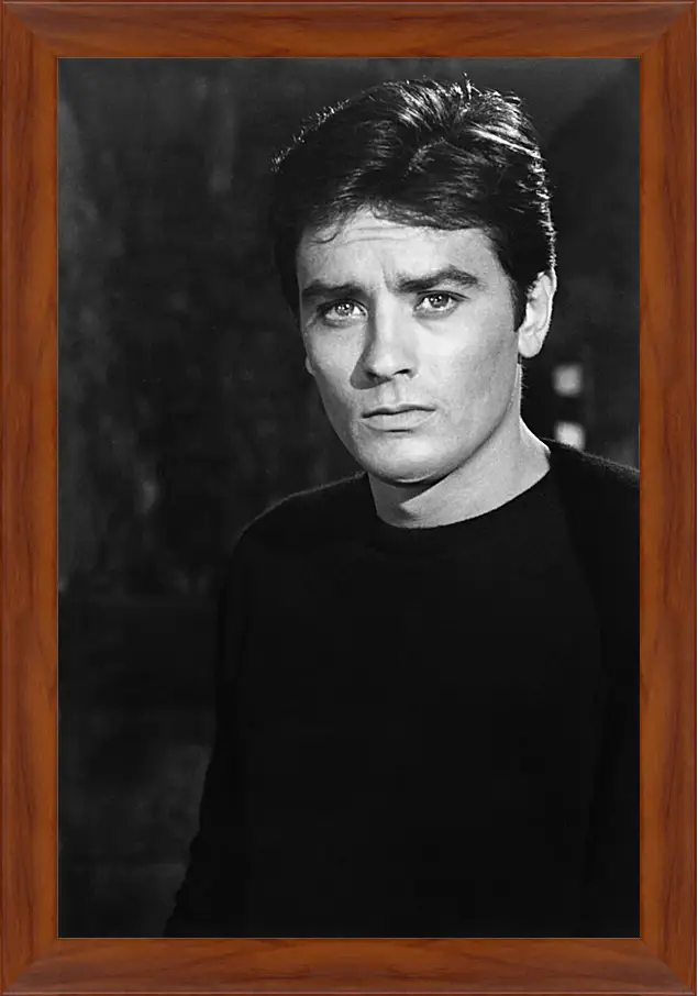 Картина в раме - Ален Делон. Alain Delon