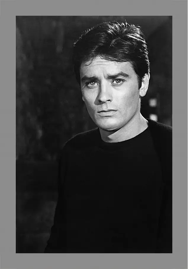 Картина в раме - Ален Делон. Alain Delon