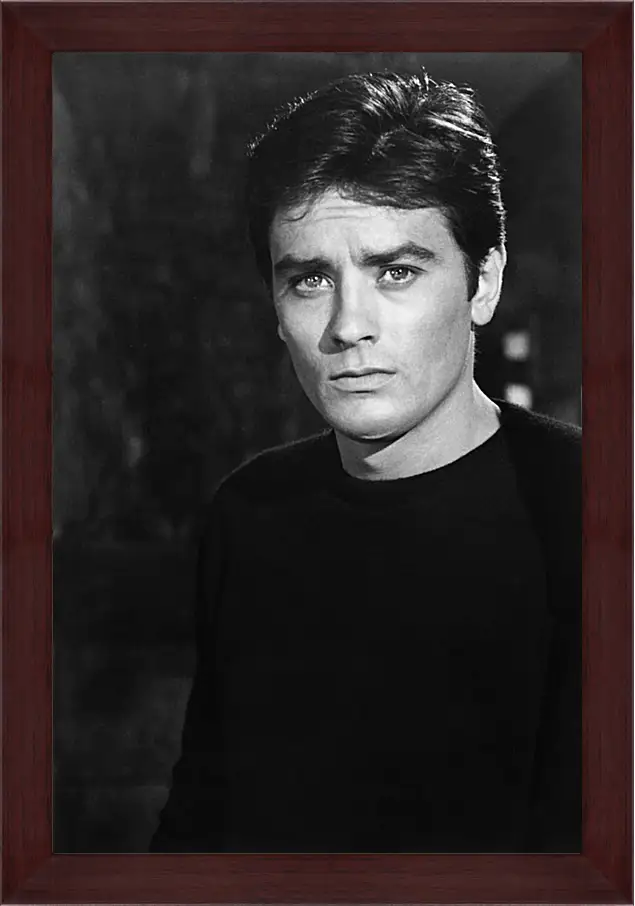 Картина в раме - Ален Делон. Alain Delon