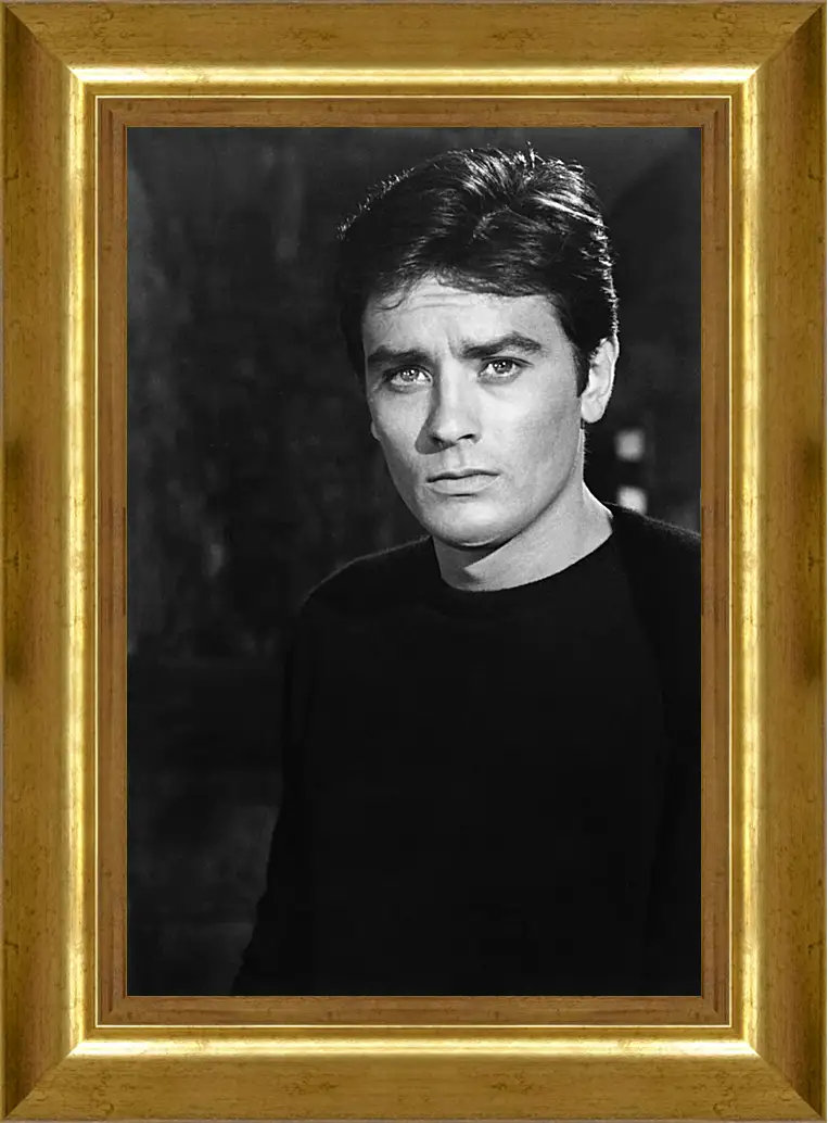 Картина в раме - Ален Делон. Alain Delon