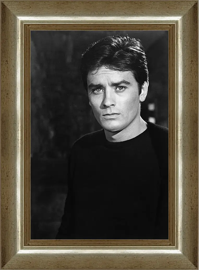 Картина в раме - Ален Делон. Alain Delon