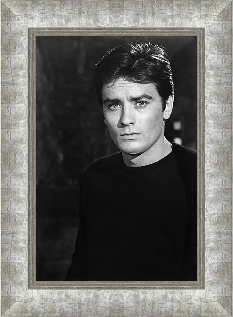 Картина в раме - Ален Делон. Alain Delon