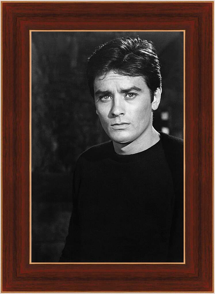 Картина в раме - Ален Делон. Alain Delon