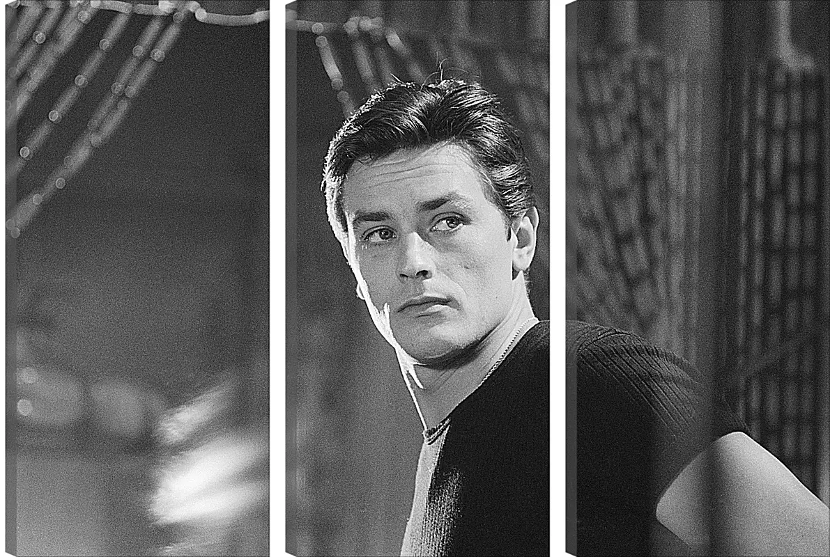 Модульная картина - Ален Делон. Alain Delon