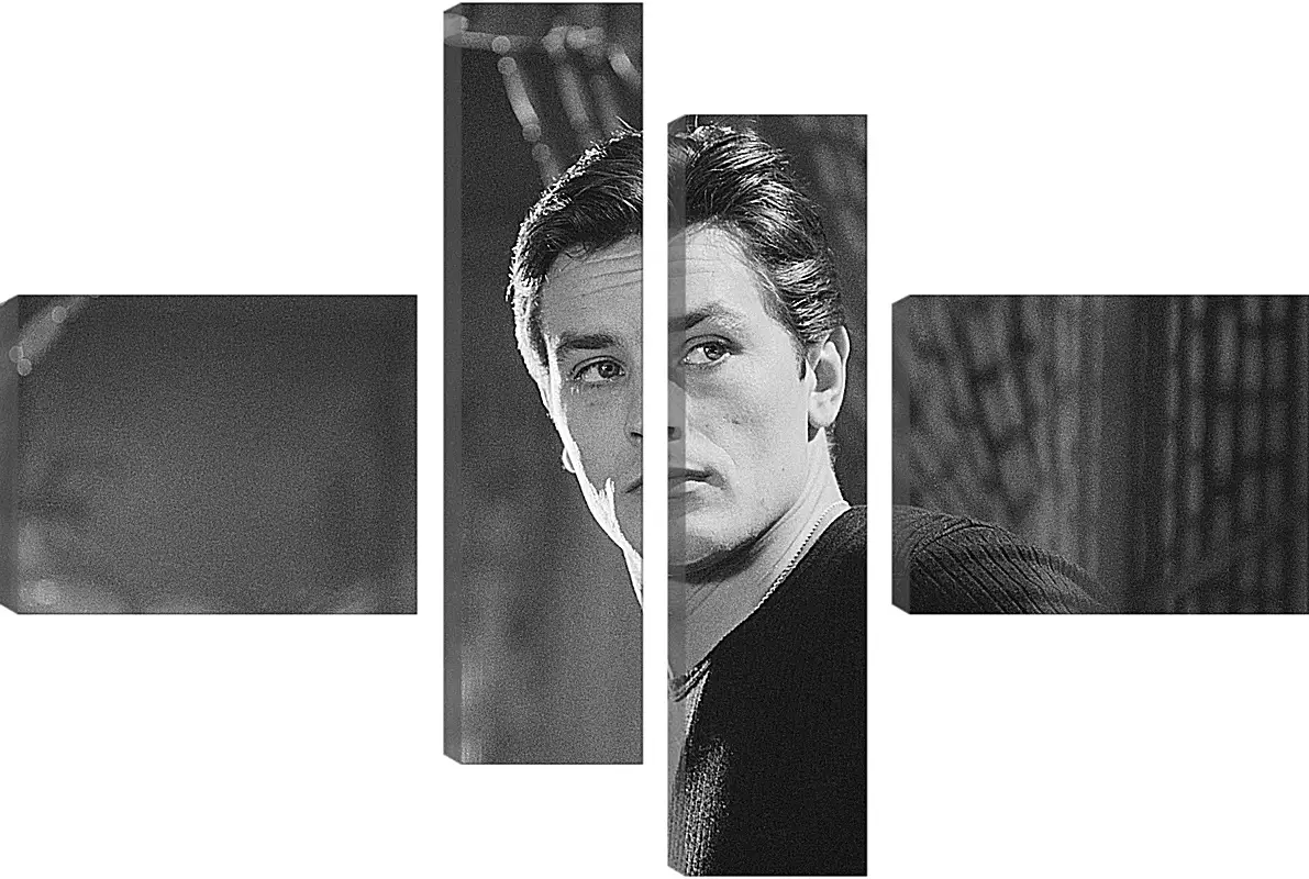 Модульная картина - Ален Делон. Alain Delon