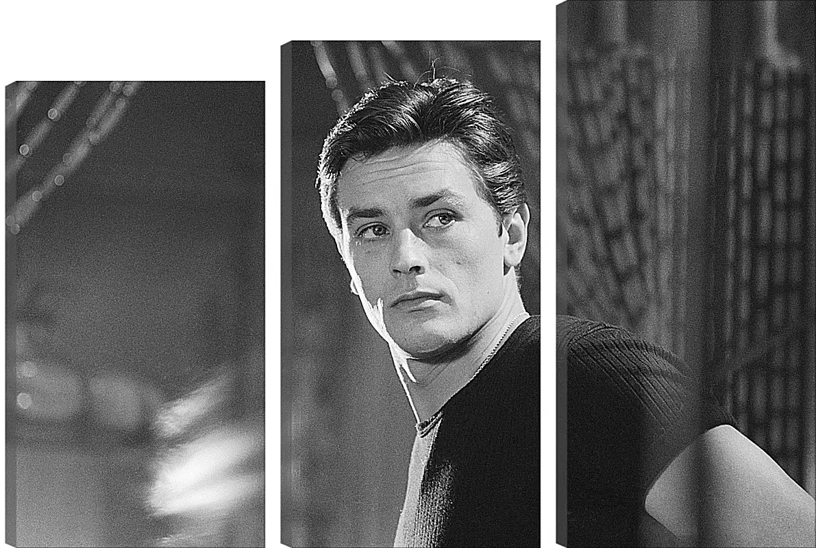 Модульная картина - Ален Делон. Alain Delon