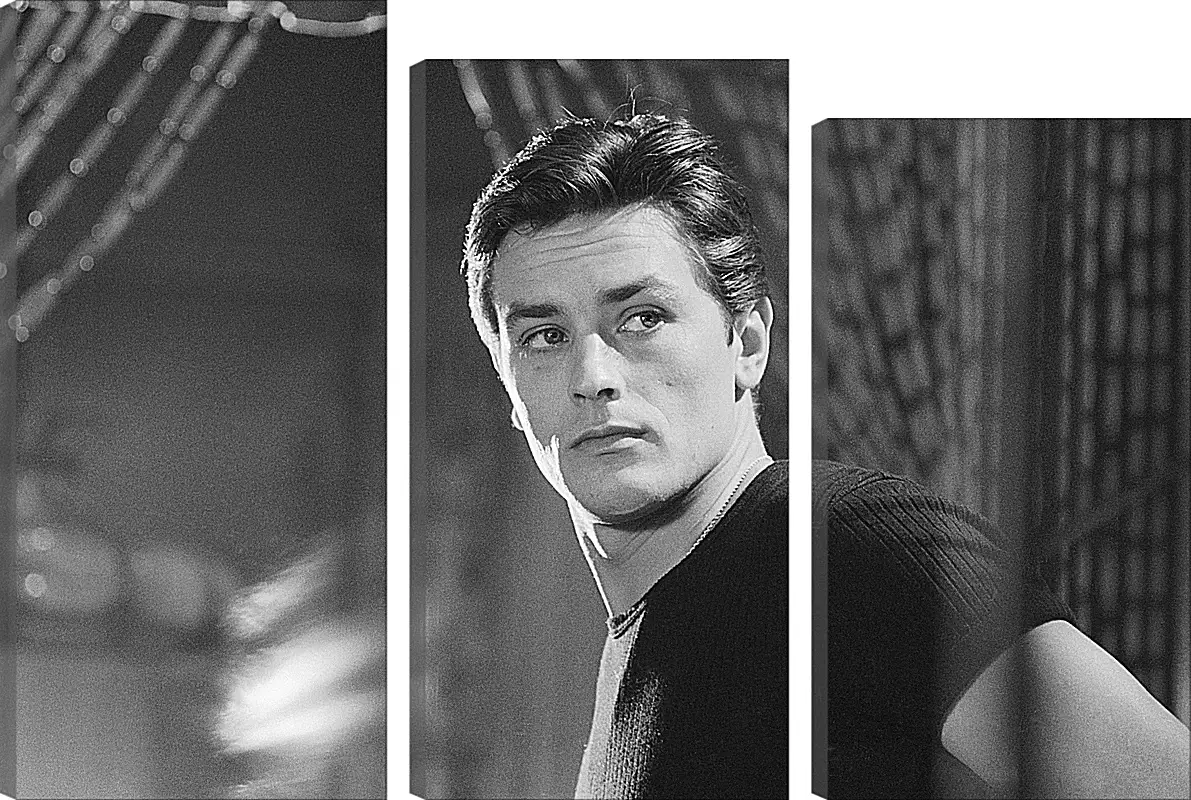 Модульная картина - Ален Делон. Alain Delon