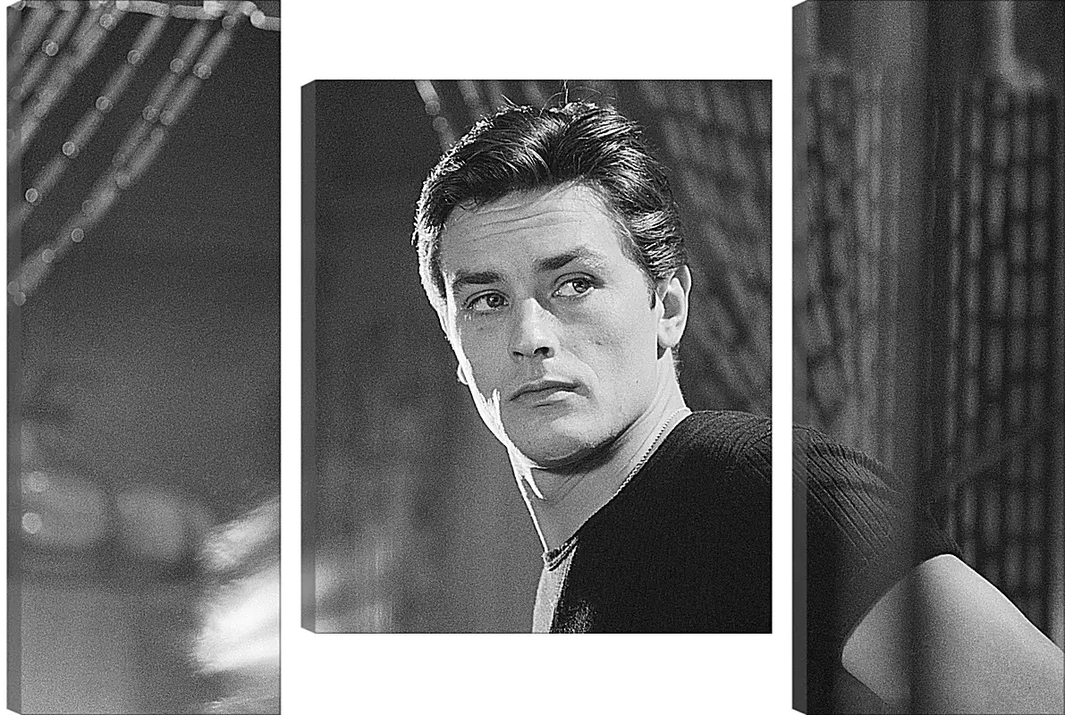 Модульная картина - Ален Делон. Alain Delon