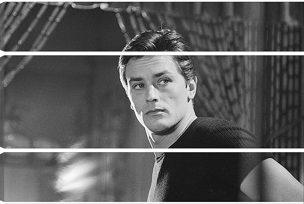 Модульная картина - Ален Делон. Alain Delon