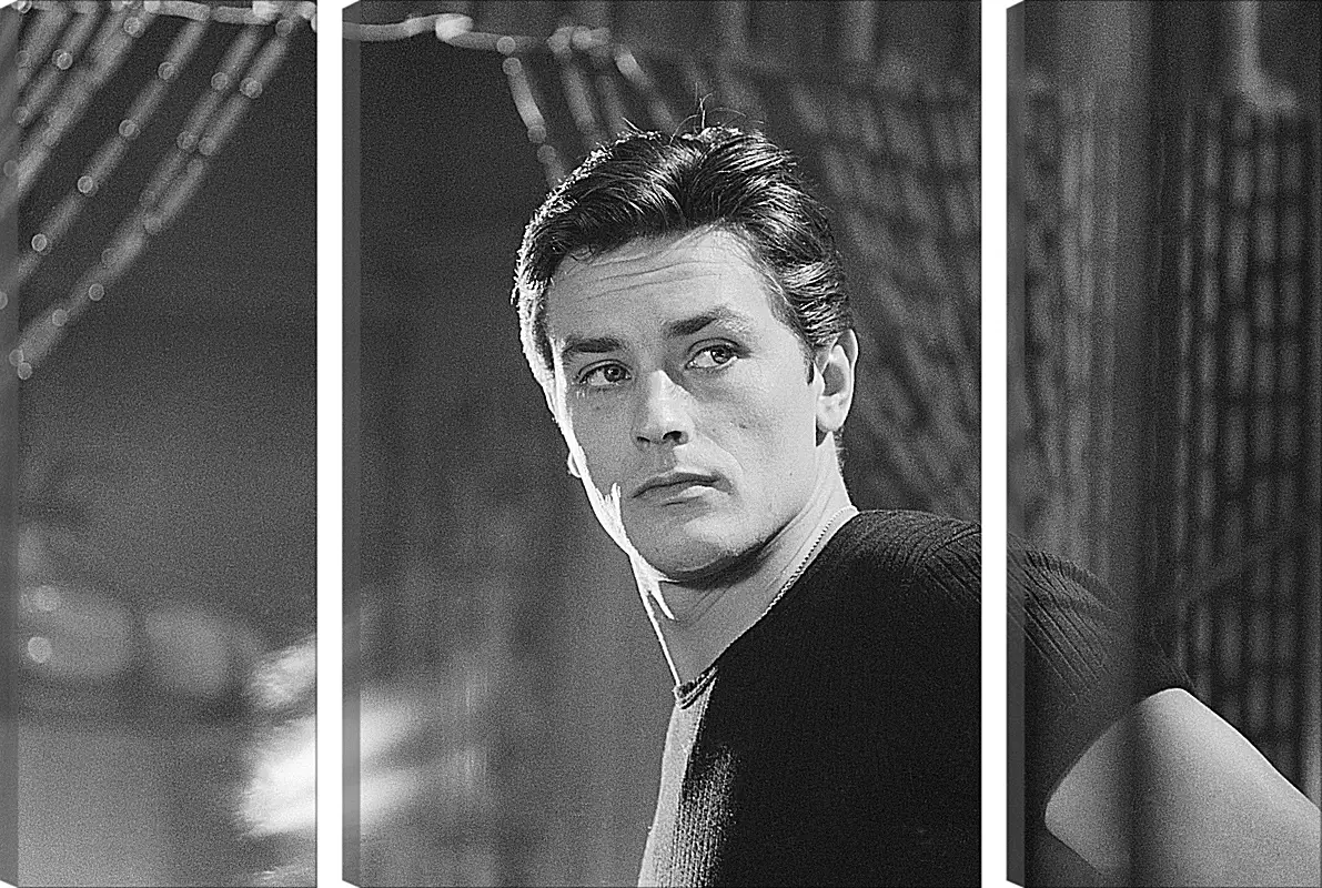 Модульная картина - Ален Делон. Alain Delon