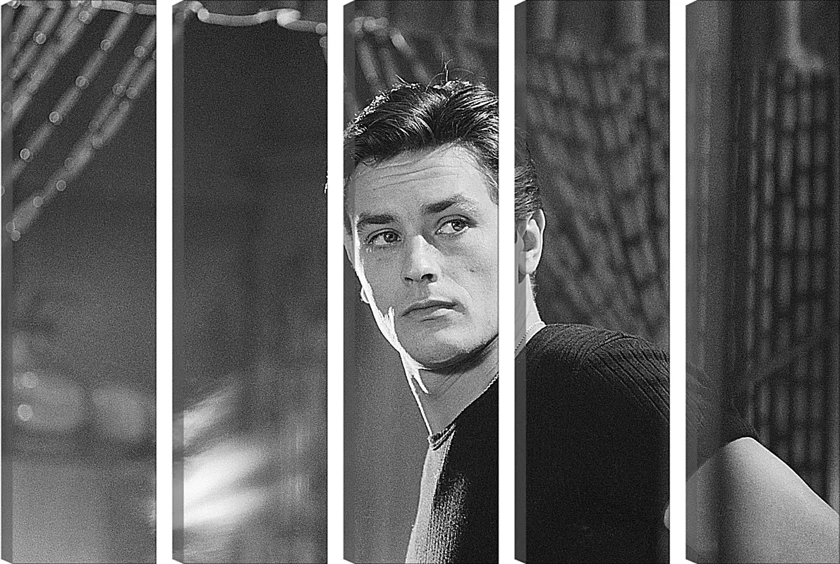 Модульная картина - Ален Делон. Alain Delon