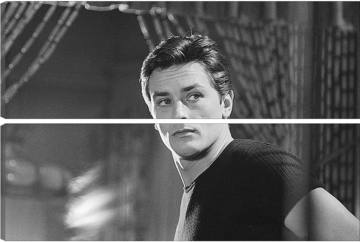 Модульная картина - Ален Делон. Alain Delon