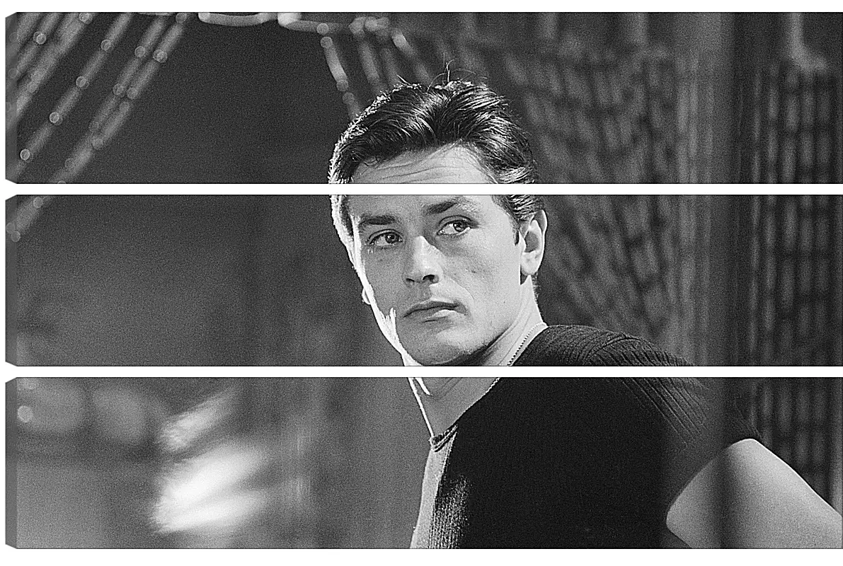 Модульная картина - Ален Делон. Alain Delon