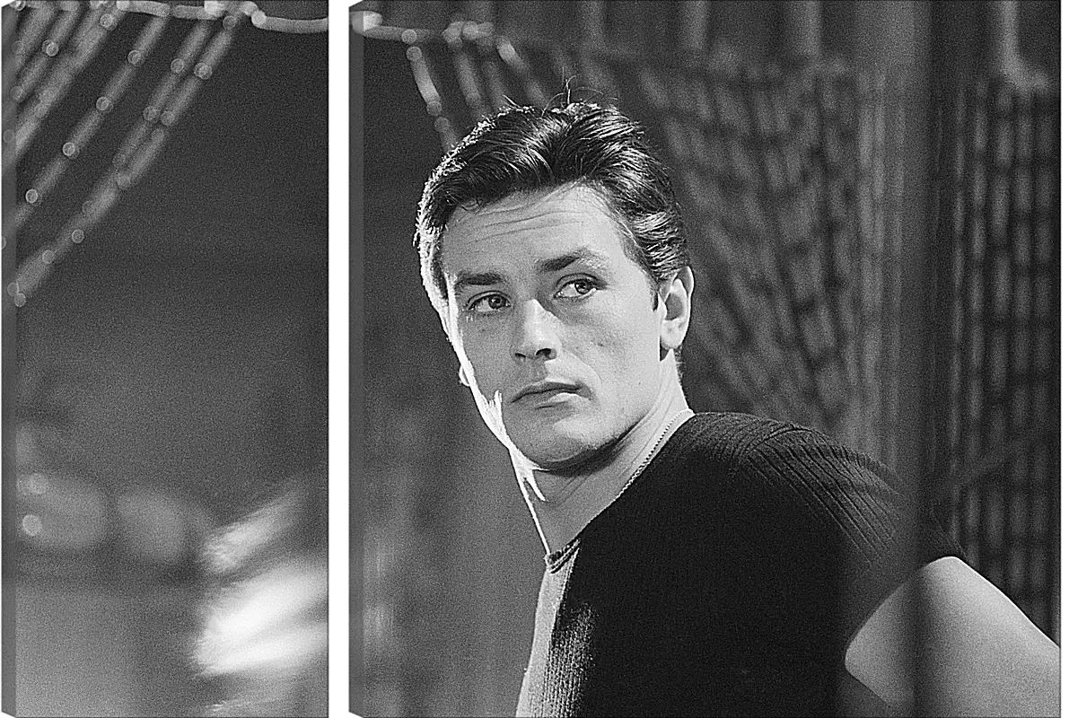 Модульная картина - Ален Делон. Alain Delon