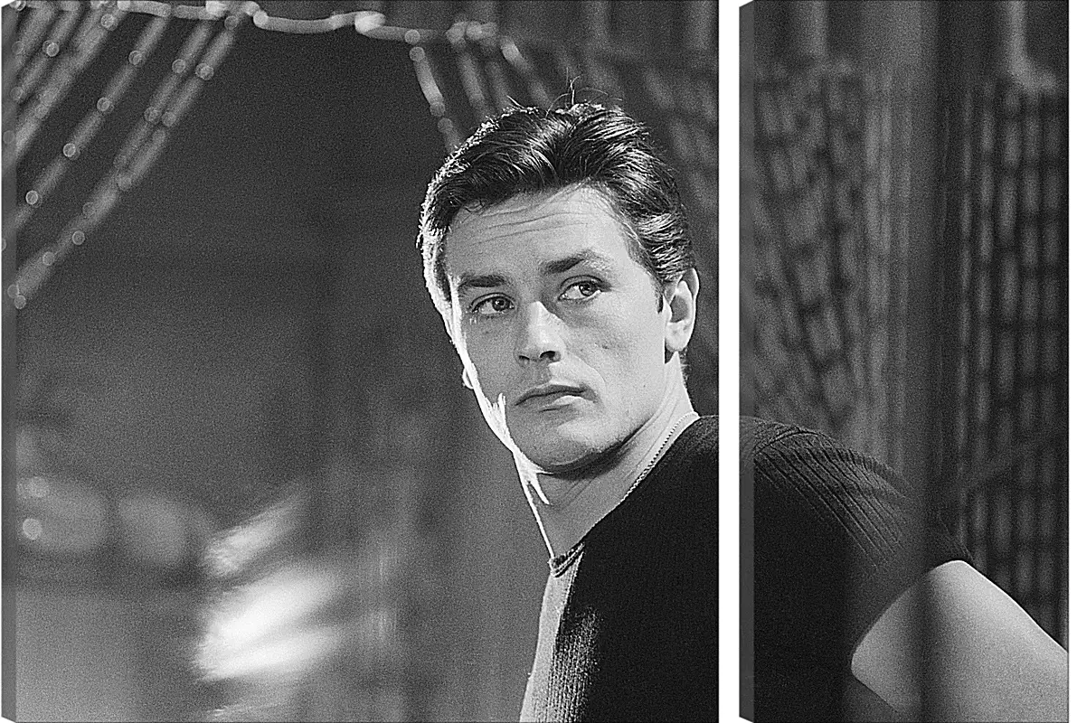 Модульная картина - Ален Делон. Alain Delon