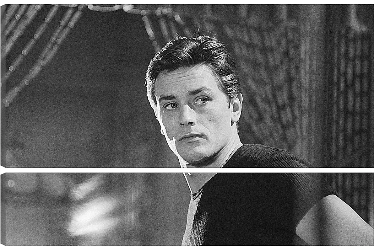 Модульная картина - Ален Делон. Alain Delon