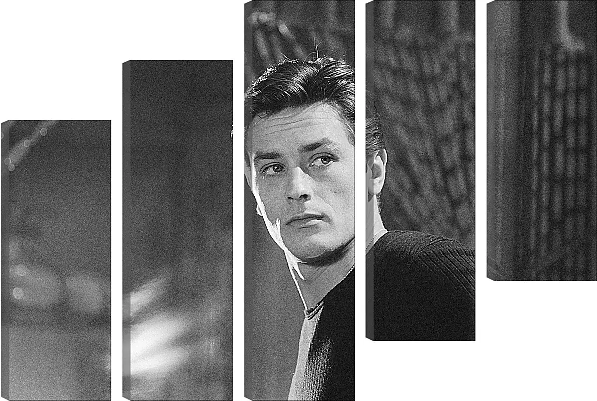 Модульная картина - Ален Делон. Alain Delon
