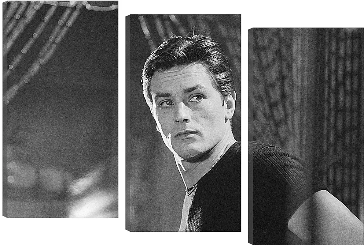 Модульная картина - Ален Делон. Alain Delon