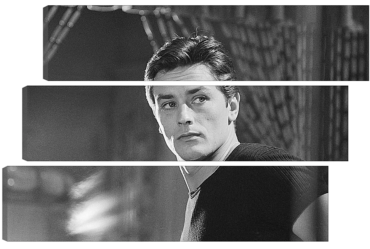 Модульная картина - Ален Делон. Alain Delon