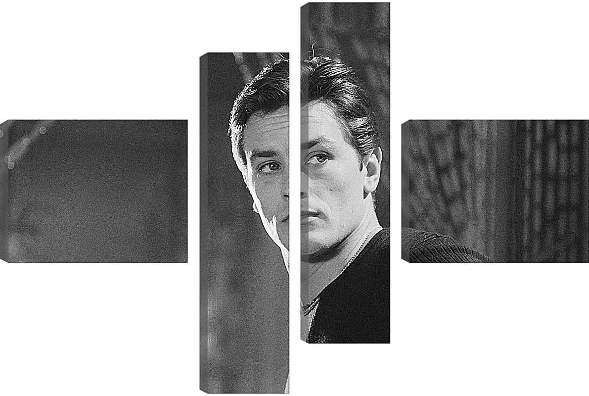 Модульная картина - Ален Делон. Alain Delon