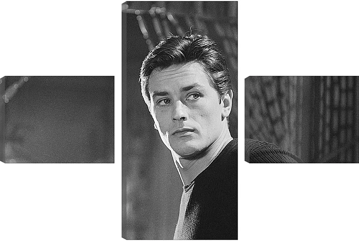 Модульная картина - Ален Делон. Alain Delon