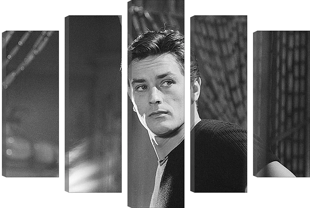 Модульная картина - Ален Делон. Alain Delon