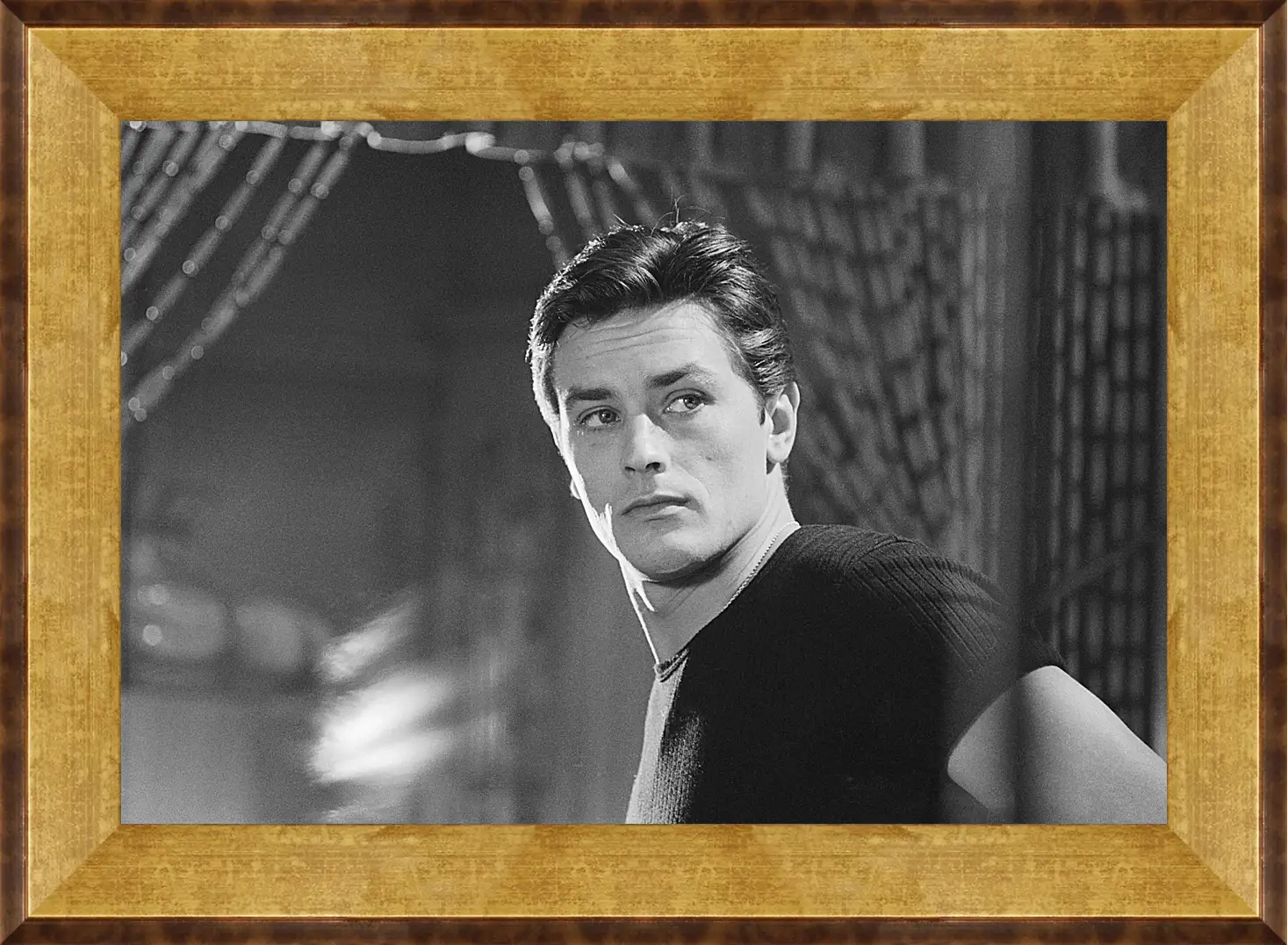 Картина в раме - Ален Делон. Alain Delon