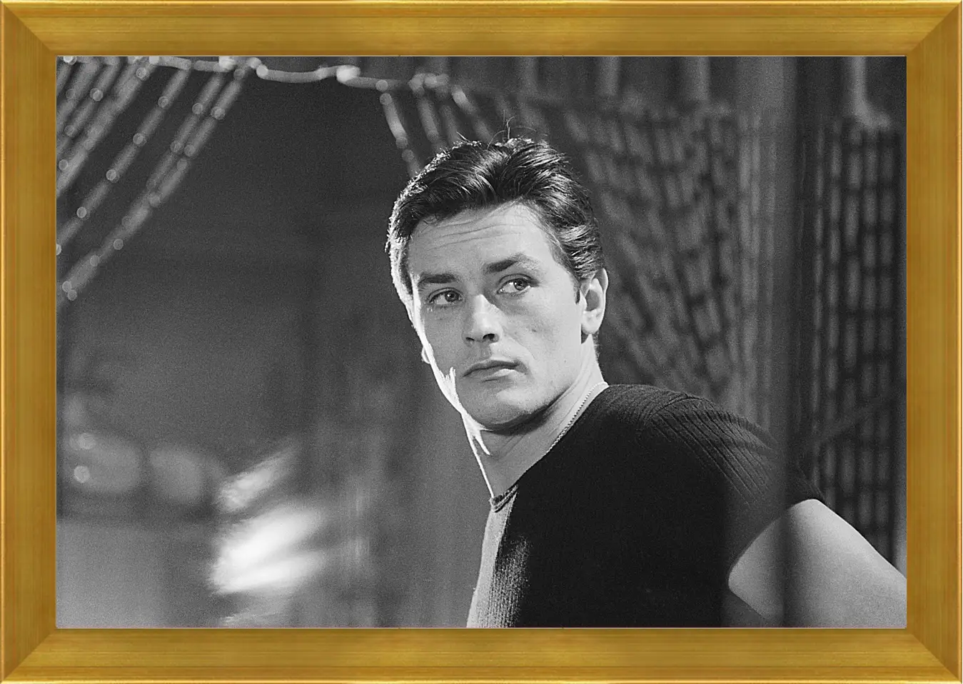 Картина в раме - Ален Делон. Alain Delon