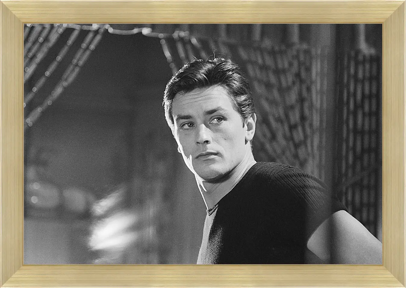 Картина в раме - Ален Делон. Alain Delon