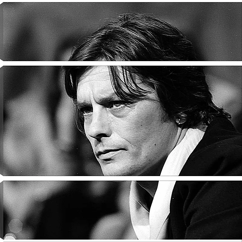 Модульная картина - Ален Делон. Alain Delon