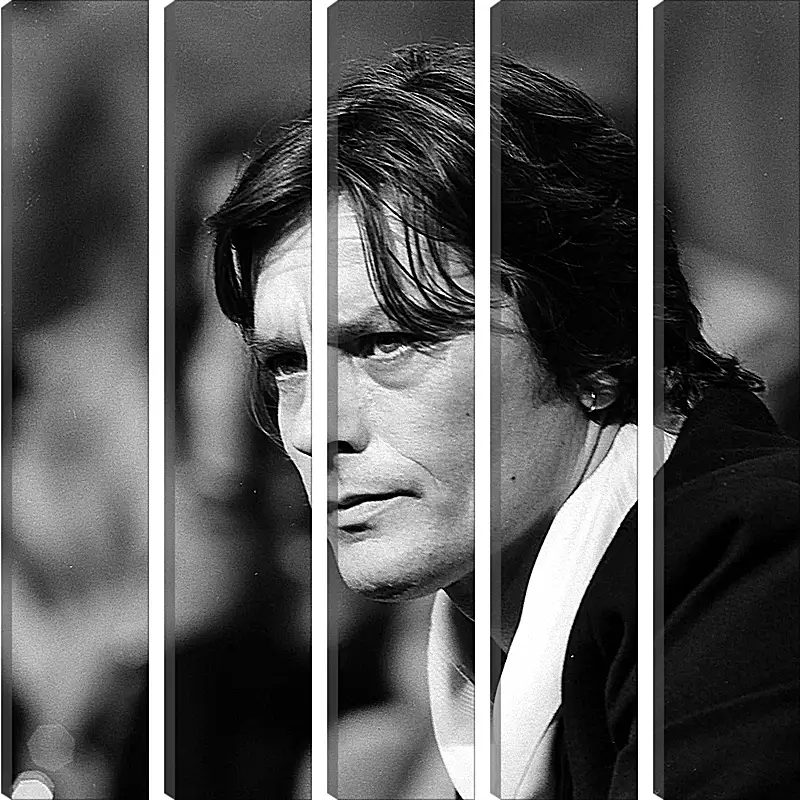 Модульная картина - Ален Делон. Alain Delon