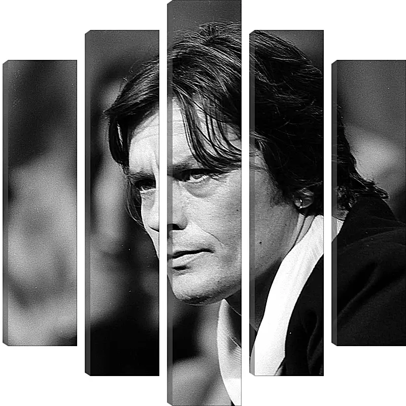 Модульная картина - Ален Делон. Alain Delon