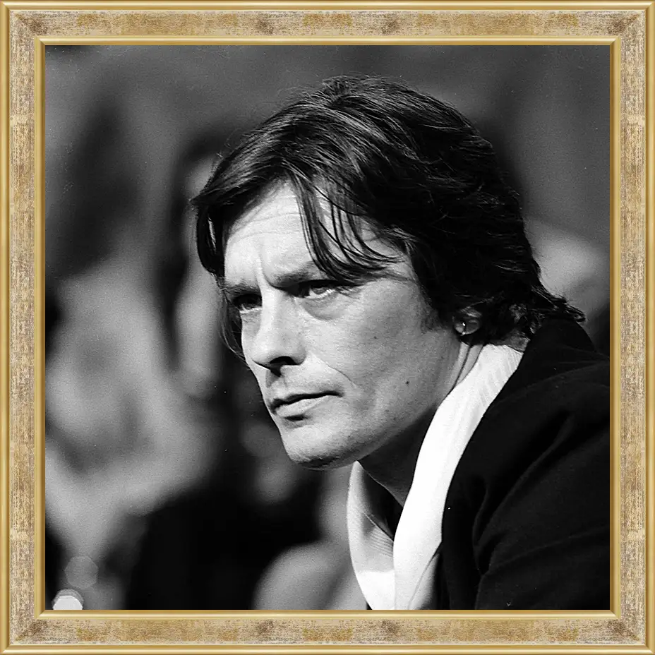 Картина в раме - Ален Делон. Alain Delon