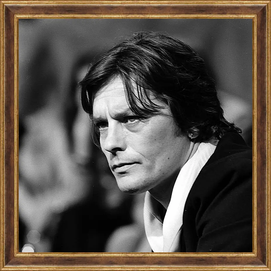 Картина в раме - Ален Делон. Alain Delon