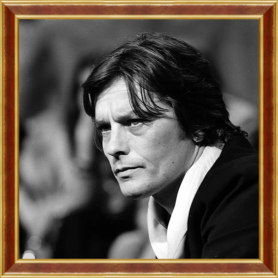 Картина в раме - Ален Делон. Alain Delon