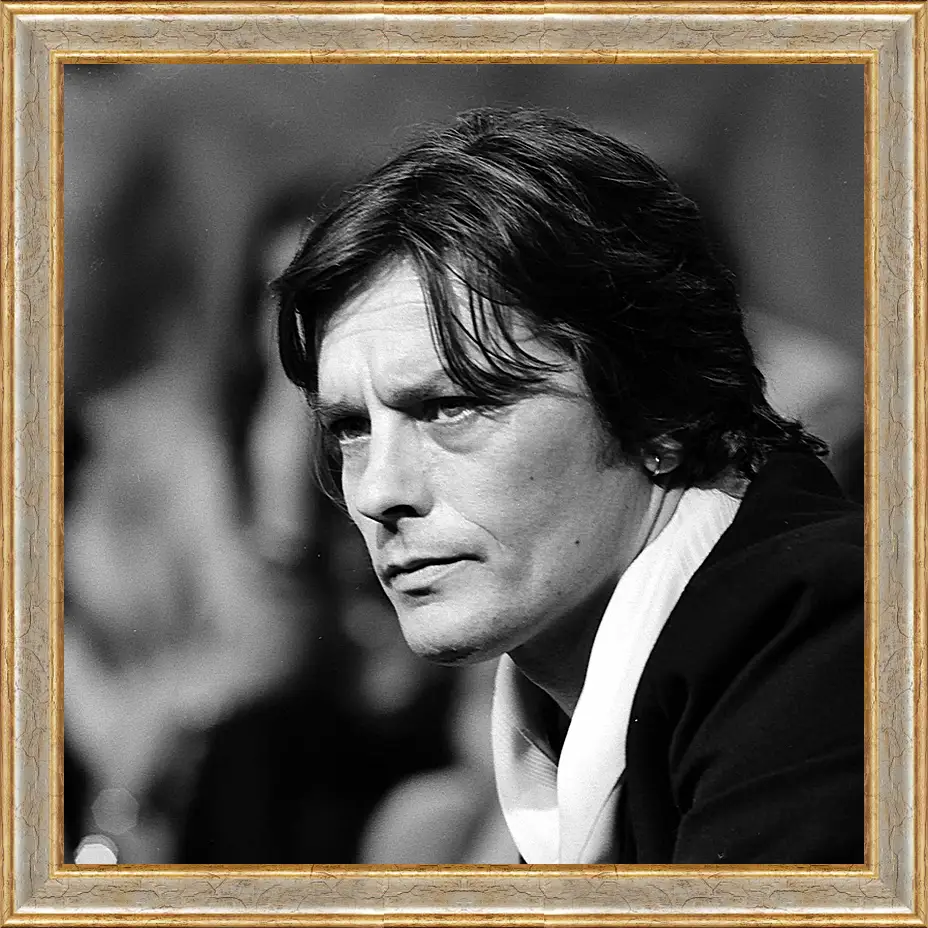 Картина в раме - Ален Делон. Alain Delon