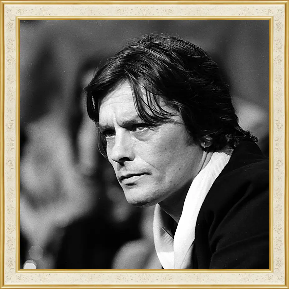 Картина в раме - Ален Делон. Alain Delon