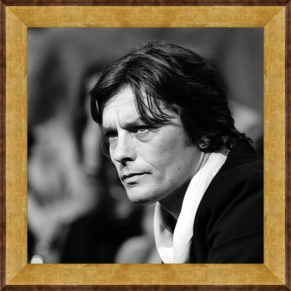 Картина в раме - Ален Делон. Alain Delon