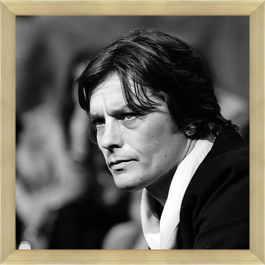 Картина в раме - Ален Делон. Alain Delon