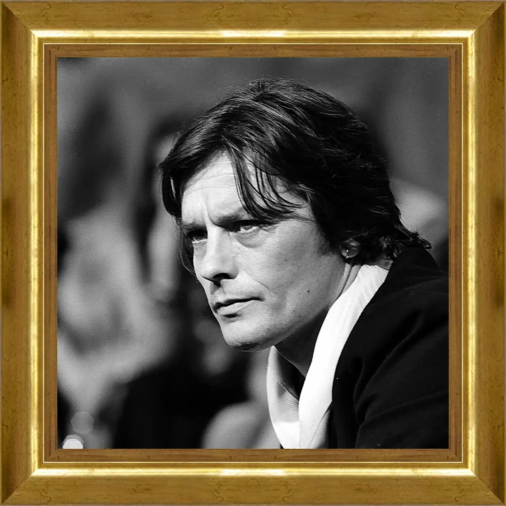 Картина в раме - Ален Делон. Alain Delon