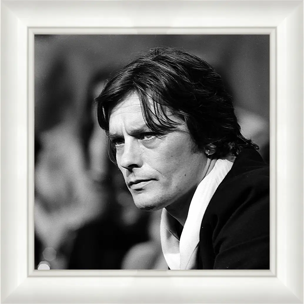 Картина в раме - Ален Делон. Alain Delon