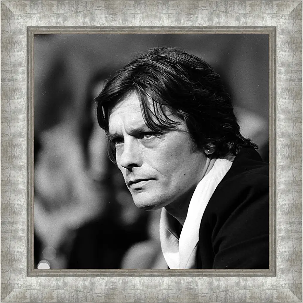 Картина в раме - Ален Делон. Alain Delon