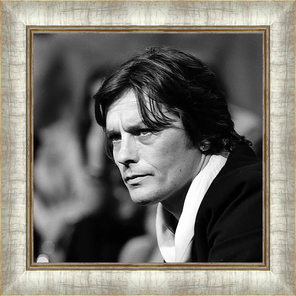 Картина в раме - Ален Делон. Alain Delon