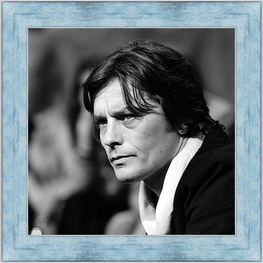 Картина в раме - Ален Делон. Alain Delon