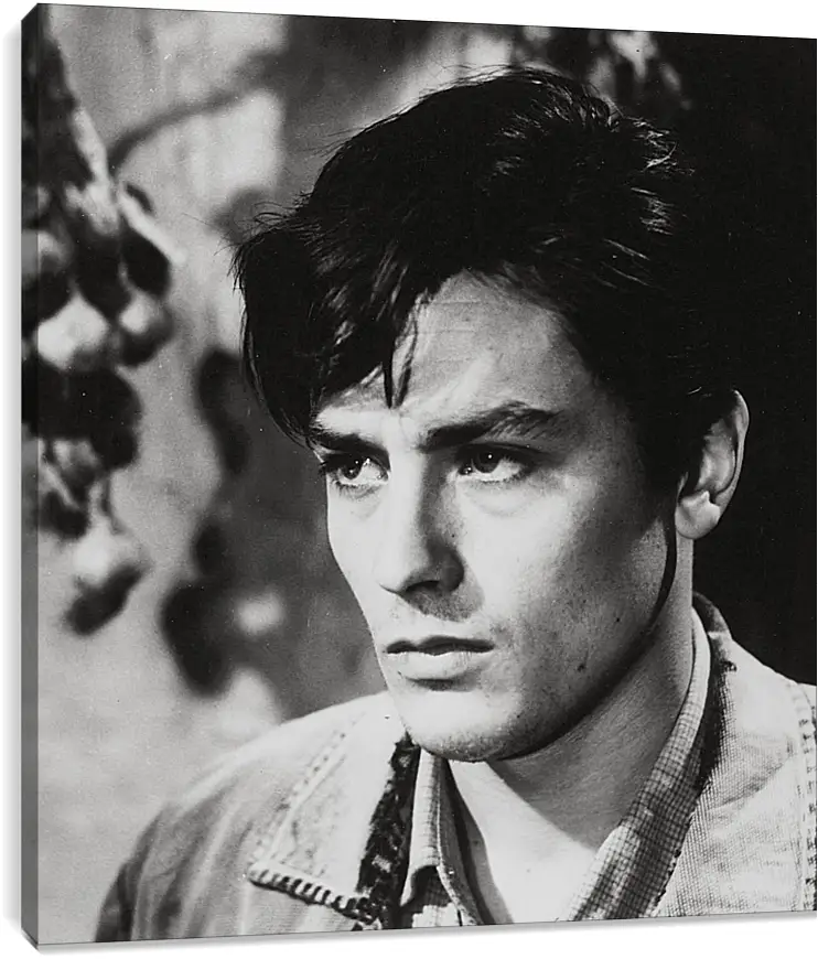 Постер и плакат - Ален Делон. Alain Delon