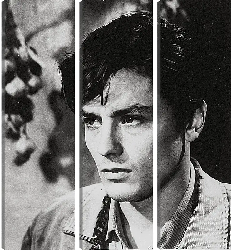 Модульная картина - Ален Делон. Alain Delon